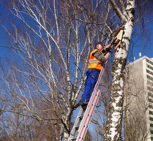 Förderung der Artenvielfalt – Fledermauskästen und Nisthöhlen für Vögel